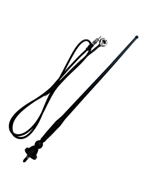 Antena AM/FM Antena AM/FM