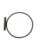 Rotor Jabsco 18653-0001-P c/ 10 palhetas
